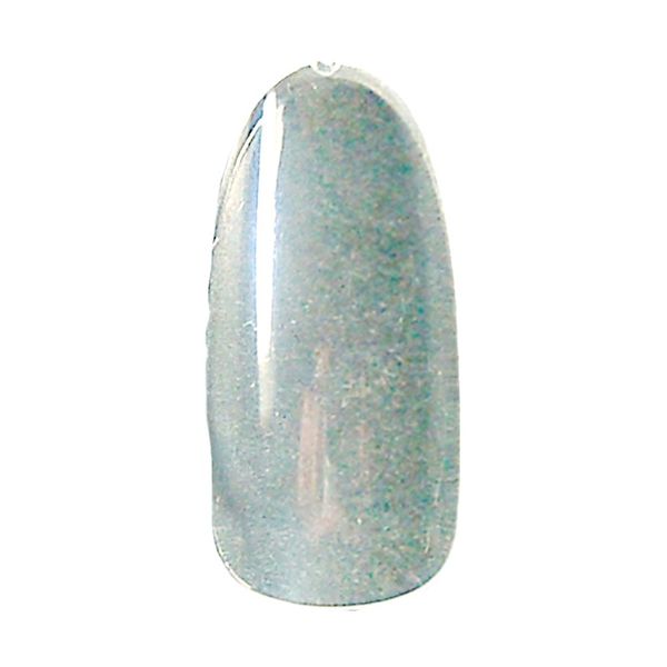 Nfs Nail organization-roundocuria 20P