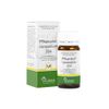 Pflügerplex Lycopodium 354 Tabletten