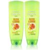 Garnier Conditioner, Sleek and Shine, 13 Fluid Ounce (2 Pack)