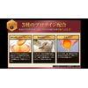 Propia Progno 126EX Plus Shampoo 200ml (x1)