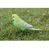 HiLine Gift Ltd. Budgerigar with Iron Foot Green