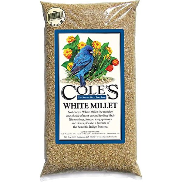 Cole's MI20 White Millet Bird Seed, 20-Pound