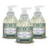 Nature's Oil Foaming Hand Soap, Eucalyptus Mint, 10 Fluid Ounces (3 Pack)