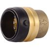 SharkBite 1-1/4 Inch Push Cap, Push to Connect Brass Plumbing Fitting, PEX Pipe,