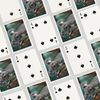 Lantern Press Koala (52 Playing Cards, Poker Size Card Deck with Jokers)