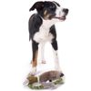 Hunter Wildlife 44546 Dog Training Toy Duck Size M