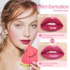 Lip Stain Tint Set, Mini Liquid Lipstick Long Lasting Lip Gloss 2 in 1 Lip and Cheek Tint Stain Hydrating & Moisturizing Waterproof Lip Stain Lip Tint Set for Women (06 Peach)