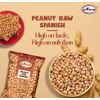 AIVA Raw Spanish Peanuts - 5 lb. Box