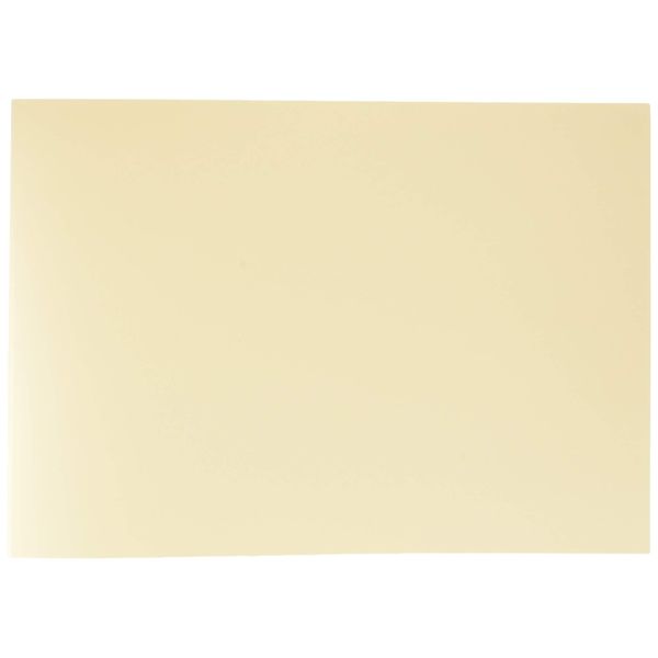 Tojita-kun Tojita-kun Binding Cover Full Paper Ivory Cover A3 Horizontal 0.3 inch (9 mm)