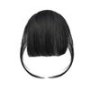 1 Piece Bangs Wig, Air Sensation, Bangs Extensions, Natural Wig, Clip Included, Heat Resistant Fiber Extensions (Black)