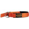 The Swagger Dog Collar Size: Medium, Color: Blaze Orange