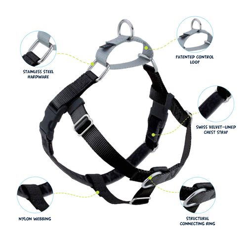 2 Hounds Design Freedom No Pull Dog Harness, Adjustable Harness, Easy Walking & Comfortable Control, Fits Small, Medium & Large Dogs, Solid Colors, Made in USA, 1" MD, Black