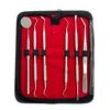 Premium Dental Instruments Scaler Tools Teeth Cleaning 6pc Oral Hygiene Deep Kit