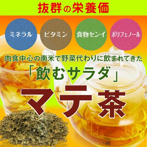 Mate Tea - Matte Leão - 1.4 oz (25 tea bags) - (PACK OF 01)
