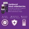 Sambucol Black Elderberry Original Liquid, 120 ml