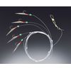 Herrings rig with circle hook