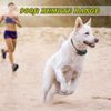Petrainer Upgraded Model Rechargeable & Waterproof Remote Dog Training Collar...