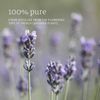 NOW FOODS Lavender Oil 16 fl oz