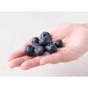 Meet American Blueberries, 311g, 1 Pack
