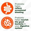 Align Prebiotic Probiotic Gummies 60 Count Daily Digestive Health Support