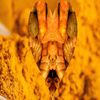 TURMERIC ROOT Curcumin  No Additives MAX High Potency 100 Vegetable Capsules