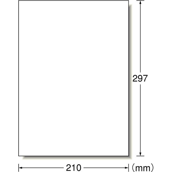 e-wan Laser Printer Label Glossy Paper Type A4 28783 00052375 [Bulk 3 Pack Set]