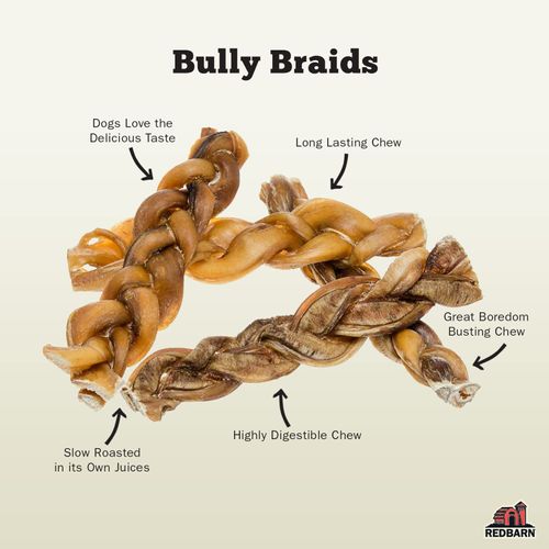 Redbarn Pet Products All-Natural 7" Braided Bully Sticks for Dogs - Premium Slow Roasted Long Lasting Chews Made with 100% Beef - Healthy Single Ingredient Low Odor - 8 Count - Packaging May Vary