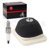 2000 2001 2002-2008 Air Filter Element Assembly & Spark Plug for Yamaha TTR125L