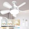Socket Fan Light with Remote, 2000 Lumens 17.8" E26 Base Screw in Ceiling Fan in