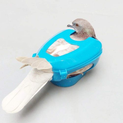 Pigeon Holder, Pigeon Injection Holder Bird Plastic Fixed Frame Easy Feeding Designed Bird Fixed Frame Rack for Feeding Pigeons Fixed Mount Bird Supply(#2)