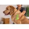 Wahl Sheddy Dog Grooming