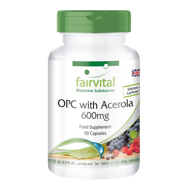 Fairvital | OPC 600mg with acerola - BULK PACK for 3 months - VEGAN - HIGH DOSAGE - 90 capsules - grape seed extract