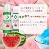 aidyiru-bu aidyihurutopia 100ml Pump Watermelon