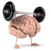 Antioxidant powder BRAIN & MEMORY BOOSTER COMPLEX immune support organic 3 Bot
