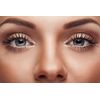 bilberry lutein - EYE VISION GUARD COMPLEX - zeaxanthin 2 Bottles 120 Capsules