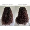 Alcove CURL ACTIVATOR 250ML/8.5OZ