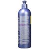 Roux, Fanci-Full Instant Hair Color Rinse, 42 Silver Lining ,Temporarily Evens Tones, Blends Away Gray, 15.2 Oz
