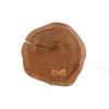 Carolina Classics Seti Live Edge Accent Table Top in Gold