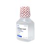 6 Pack MAJOR Extra Strength Acetaminophen Liquid, Cherry, 8 FL OZ, Dye Free
