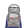 Picnic Time Navy Houston Texans PTX Backpack Cooler