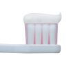 [Third drug class] Dent Health B 45g