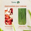 Himalaya Herbals Energizing Day Cream 50ml - Natural UV Protection - Hydrates, Nourishes and Protects Your Skin (Energizing Day Cream)