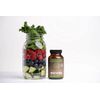 Sunwarrior Enzorb Plant-Based Vegan Digestive Enzymes Spore Based Probiotic 90ct