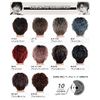 TefuRe MEN-004-BkBlM Men's Short Wig, Spiral Perm, Curl, Fluffy, Heat Resistant, Full Wig, Men's Clothing, Korean Matte Fiber, Natural, Wig Net Included, Black/Blue Mesh