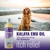 Kenic Kalaya Ultra Moisturizing & Restorative Emu Oil Pet Shampoo- Soap & Paraben Free- Made in USA- for Dogs and Cats