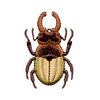 Prym 924331 Appliqué Stag Beetle Brown/Green