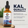 KAL 0.3 Mg Melatonin Cherry Elderberry Dropins, 2 Fluid Ounce