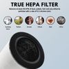 Nispira MD01 MD02 Mod/Mod+ Replacement Filter for Mod/Mod+ Air Purifier, 1 Pack