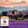 Dopamine Supplements - Users Boost Mood, Enhance Focus, Improve Mental Clarity