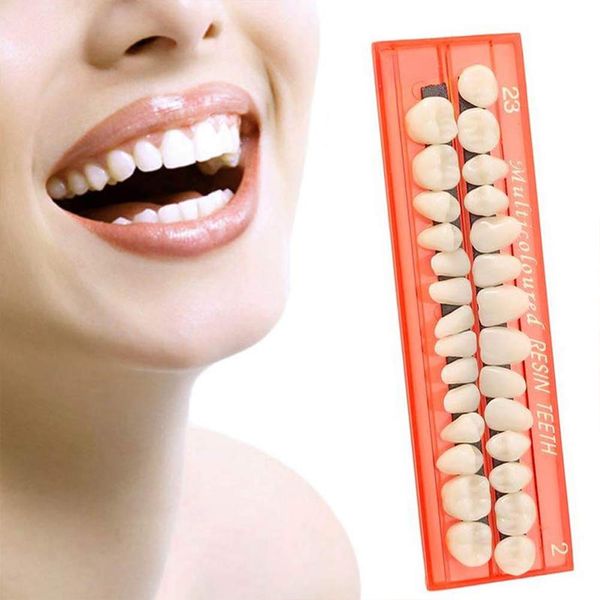 KEDEJIN 28Pcs/Set Resin Teeth Model, Ergonomic Design Durable Dentures Universal Resi False Teeth